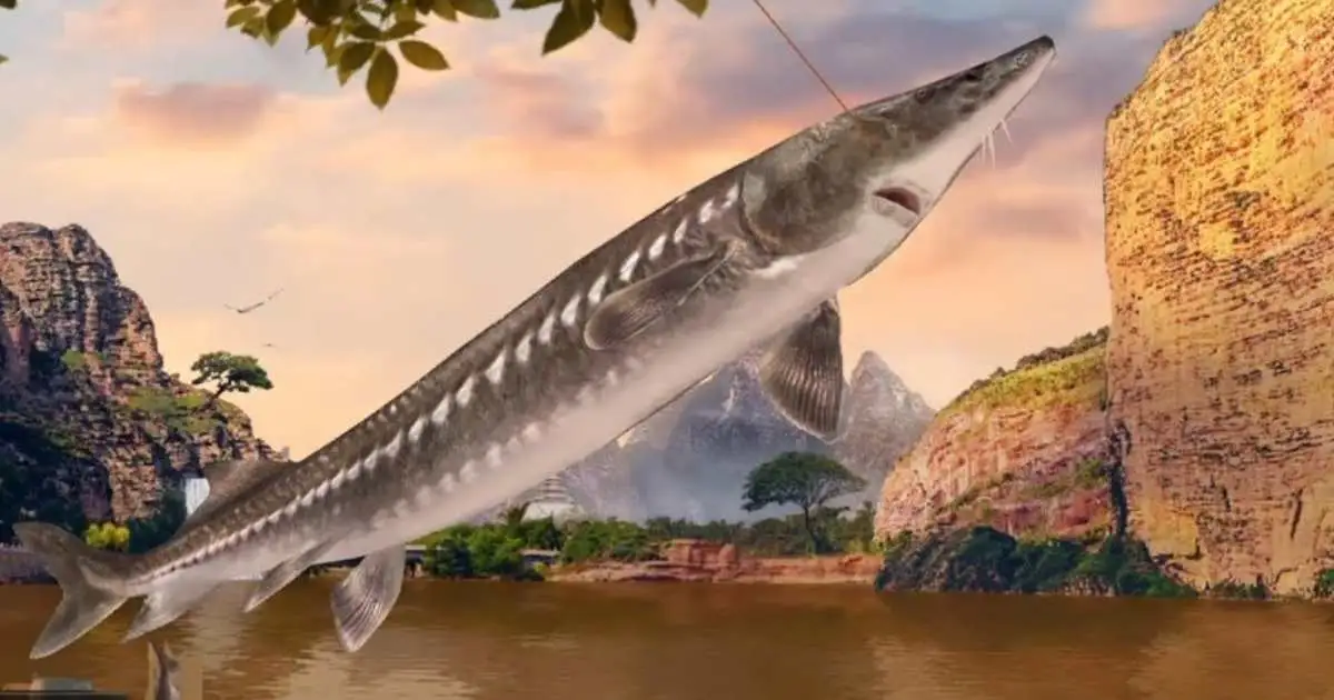 Fishing Clash Codes: Latest Codes (July 2025) 4 Fishing Clash Codes