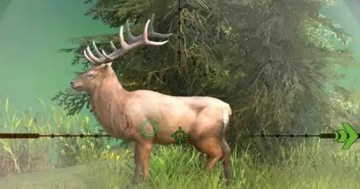 Hunting Clash Codes: Latest Codes (September 2025) 3 Hunting Clash Codes