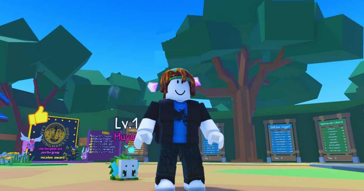Pet Adventure Simulator Z Code